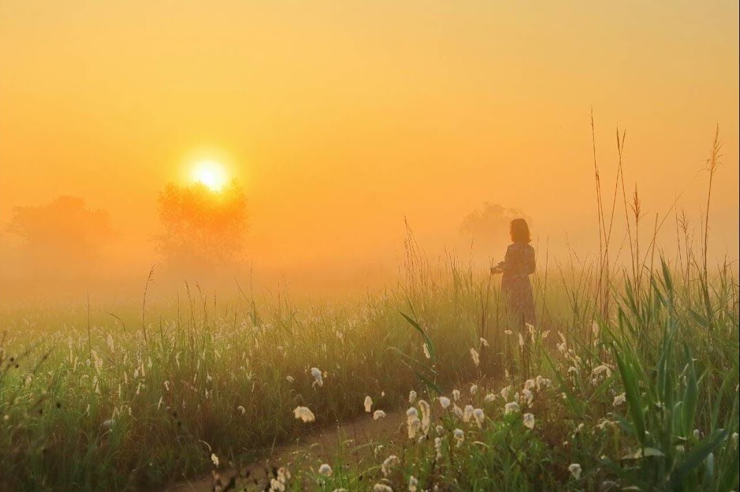 взято с Яндекс картинки