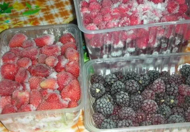 Сколько хранят ягоды. Замороженные ягоды. Заморозка ягод в контейнере. Заморозка фрукты на зиму. Фрукты для заморозки.
