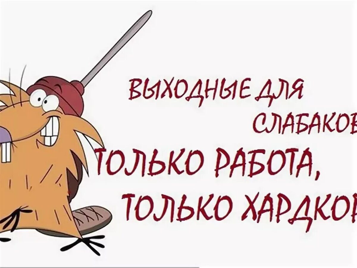 Куда пойти и куда не пойти работать | Достигать. Служить. Вдохновлять. |  Дзен