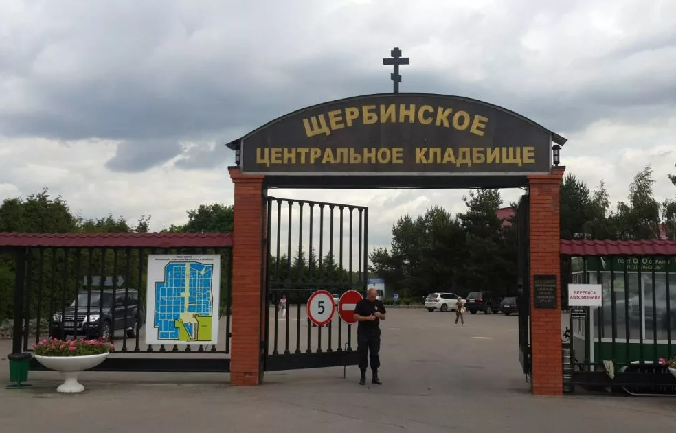 Фотография взята из источника yandex.ru