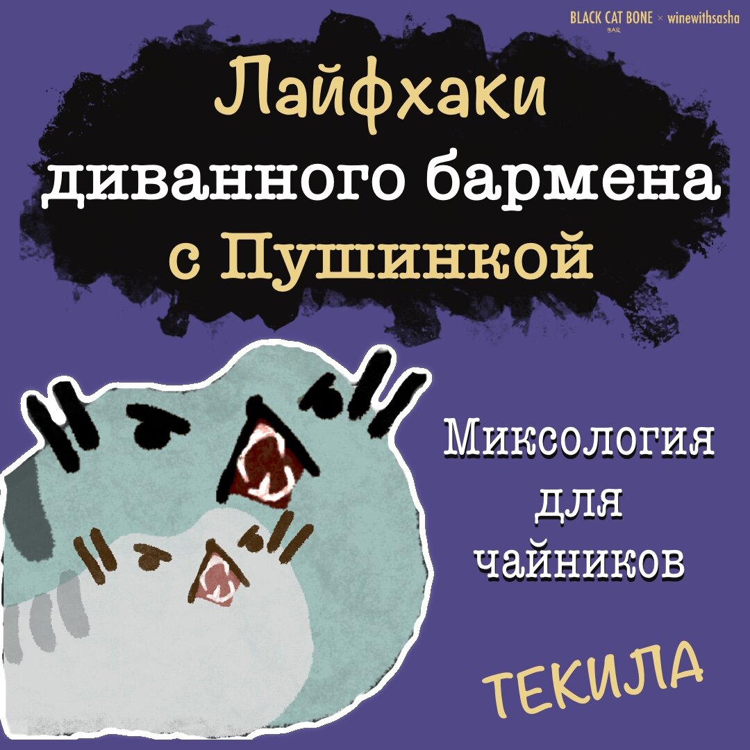 Летние микс-дринки. Текила. Лайфхаки диванного бармена с Пушинкой. Миксология для чайников