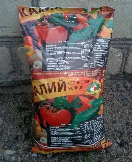 Калий хлористый. Фото из открытых источников.