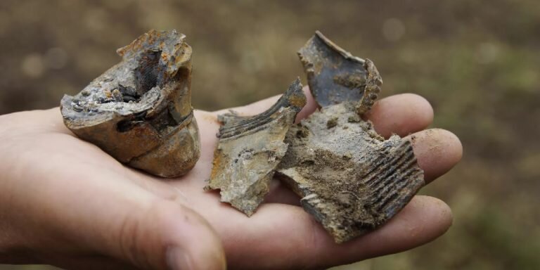 Фото: РИА «Новости»