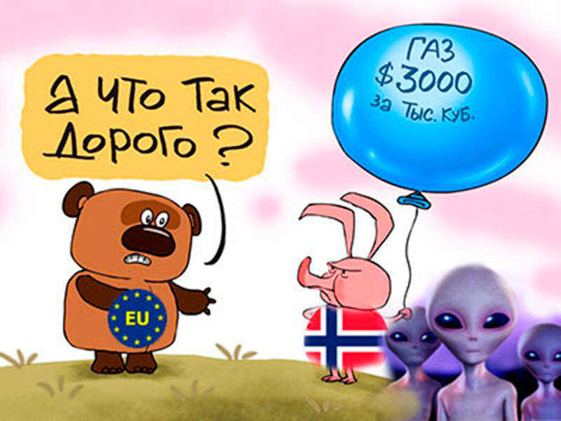 Подписывайтесь на наш канал "Нарполит" и не упустите свежие политические тренды! 