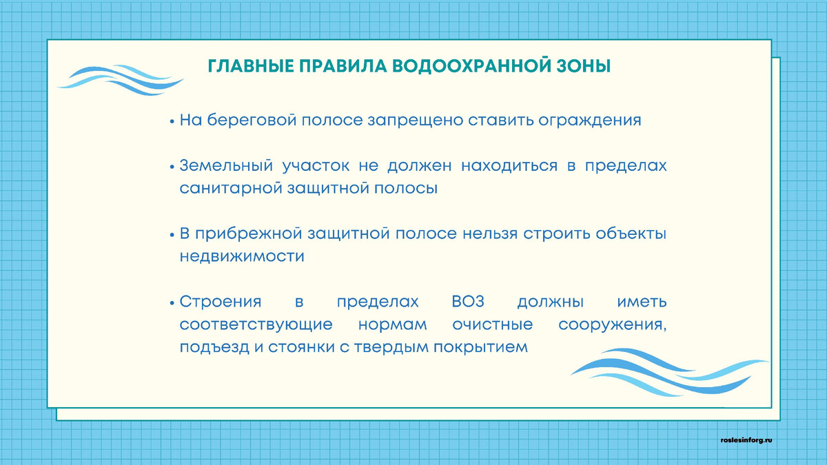 Просто и понятно про водоохранную зону: что можно, а что запрещено делать в  ее границах? | Рослесинфорг | Дзен