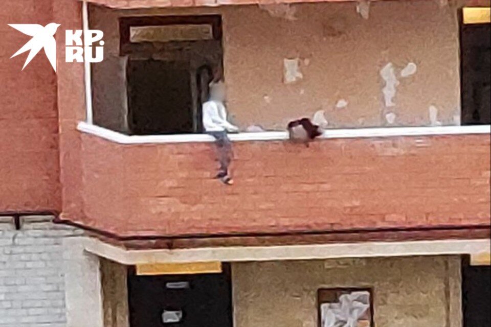     Кадры видео: предоставлено читателем