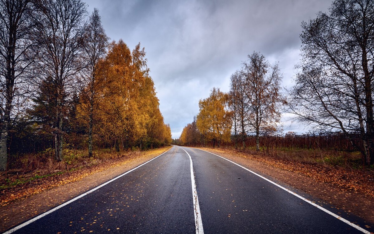 Фото с сайта goodfon.ru