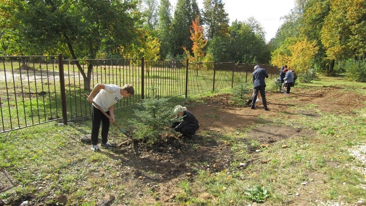 Школьники должны были посадить 200 деревьев они. БОЛЬШЕКОРОВИНСКАЯ школа Захаровского района. Посадка деревьев. Посадка аллеи деревьев. Посадка деревьев школьниками.