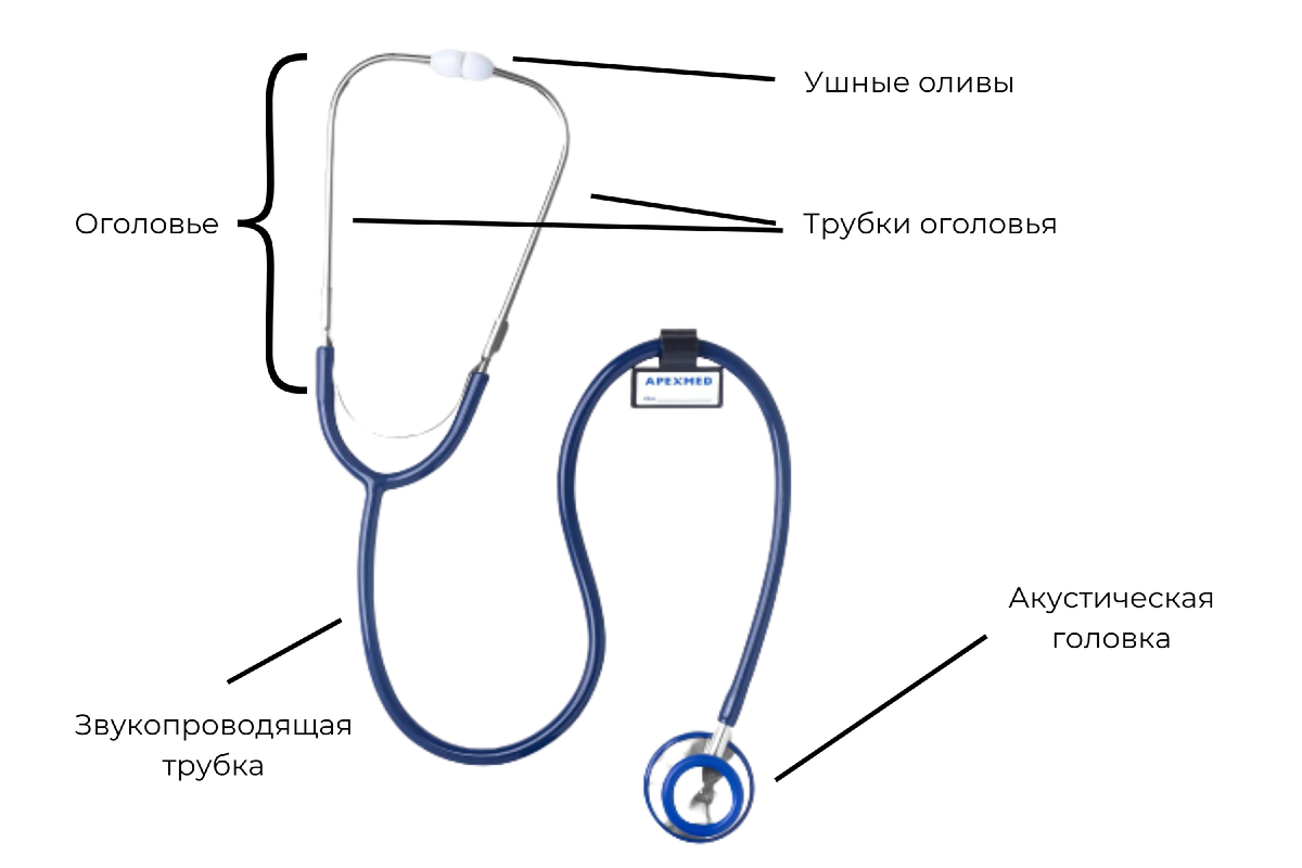 Конструкция стетоскопа — интернет-магазин МаМеТо