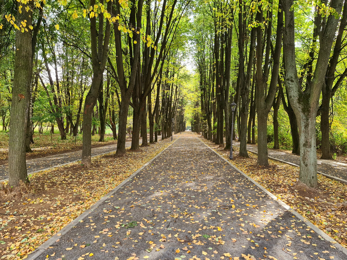 Кусковский лесопарк, фото автора