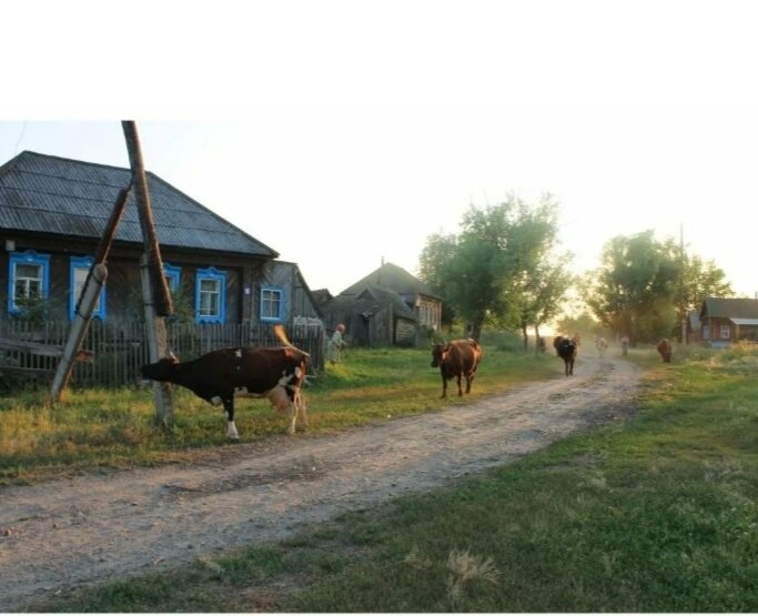 Фото Яндекс картинки свободный доступ 