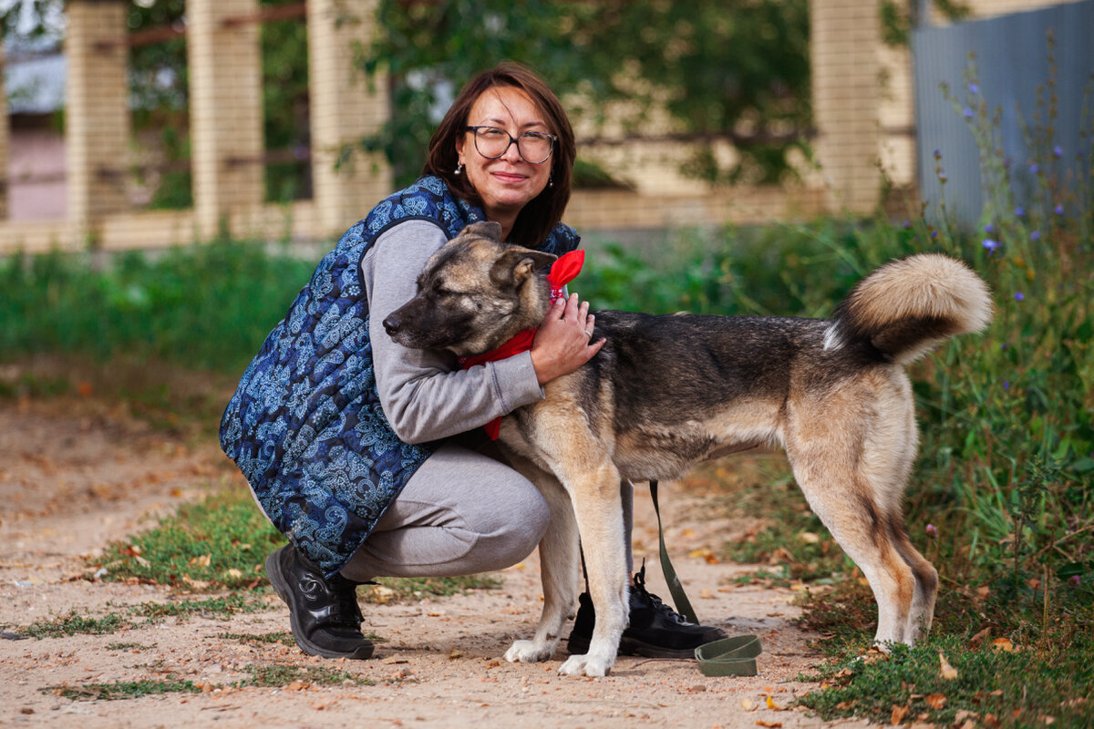 Я с Айвой! Очень хочется этой чудесной собаке найти тёплый дом 