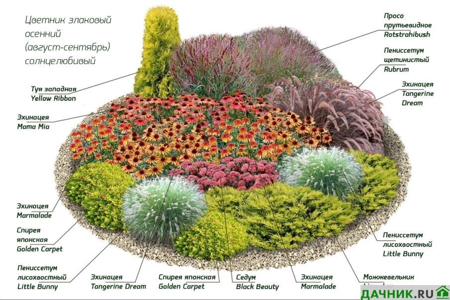 Миксбордеры из многолетников и декоративных кустарников непрерывного цветения | витамин-п-байкальский.рф | Дзен