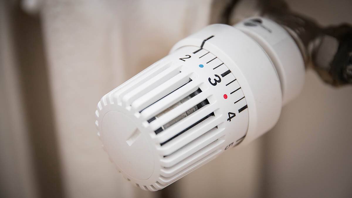    Фото: shutterstock