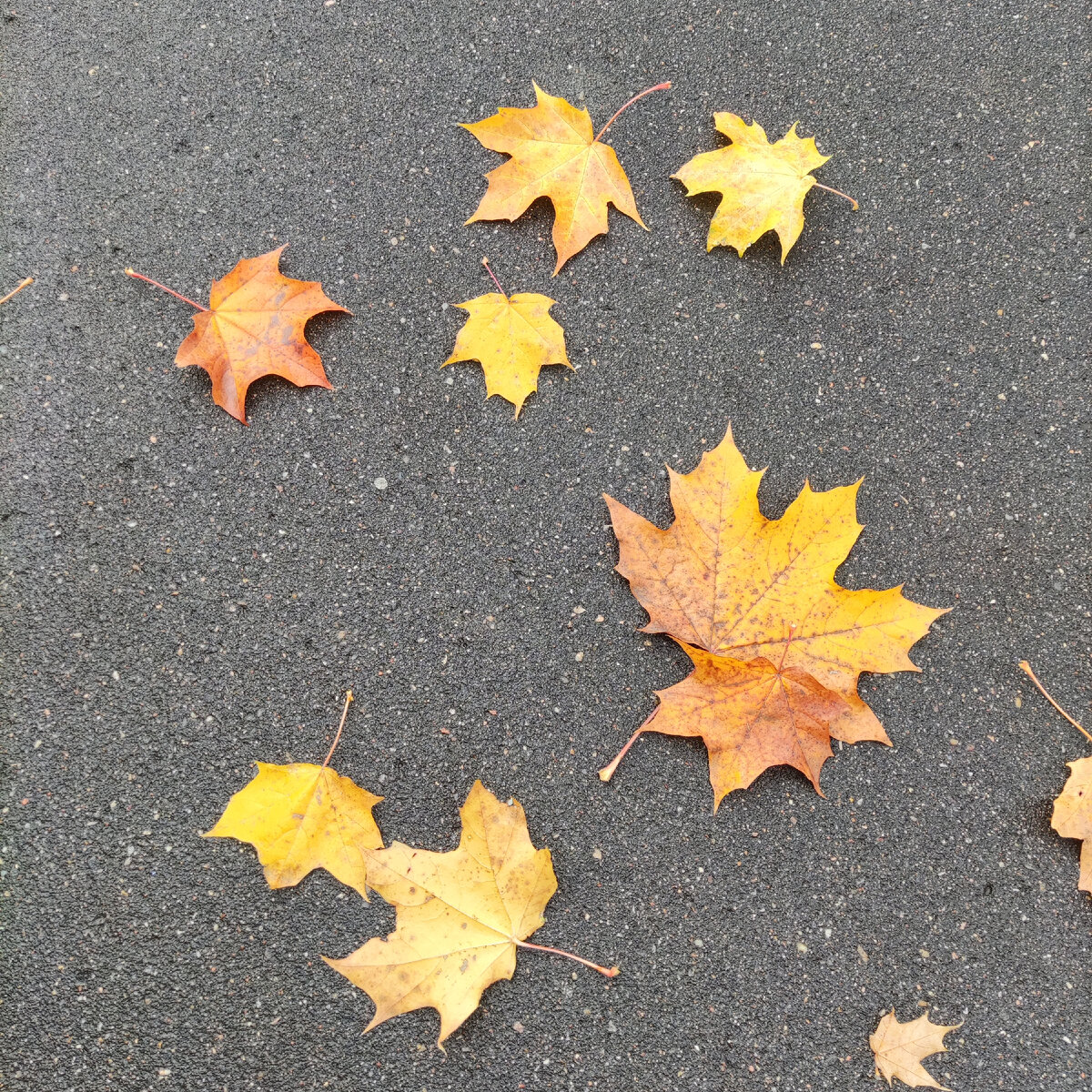 из личного архива осени