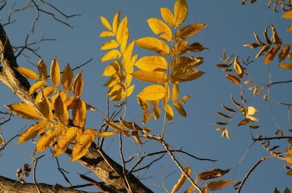     В Барнауле температура воздуха днем составит от +18 до +20 градусов Олег УКЛАДОВ