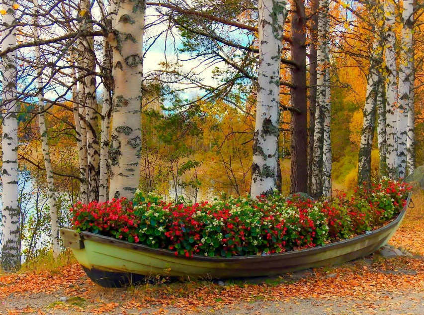 Фотография взята из источника sovet.boltai.com