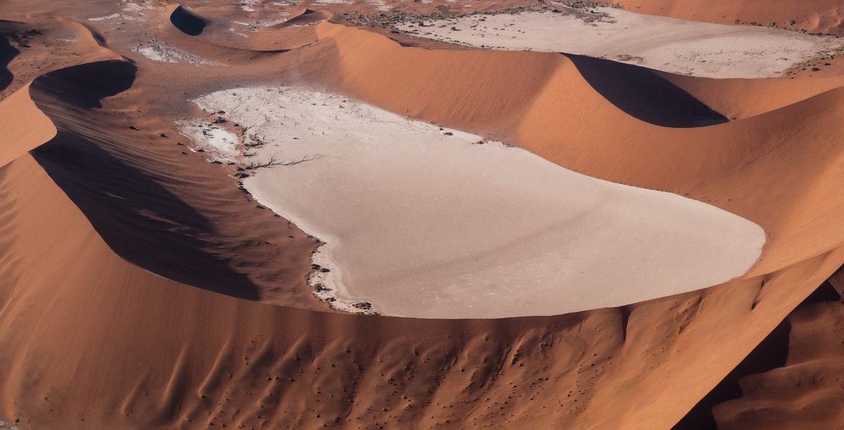 фото с сайта https://unsplash.com/