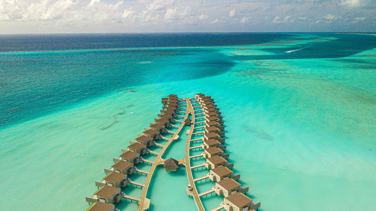 фото с сайта https://unsplash.com/