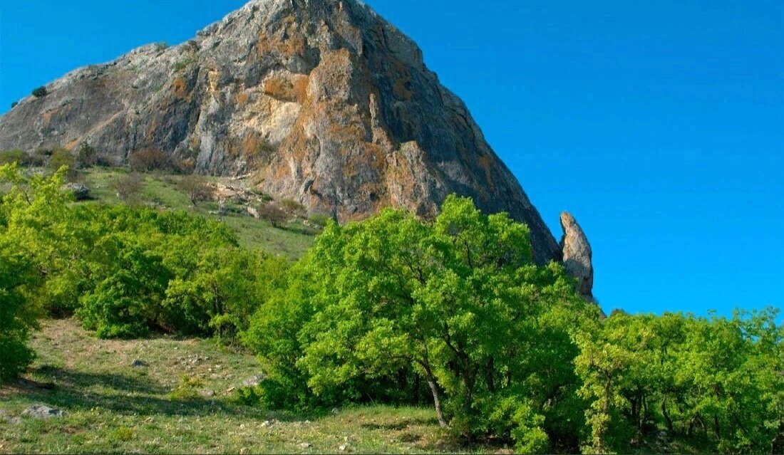 Фото из интернета