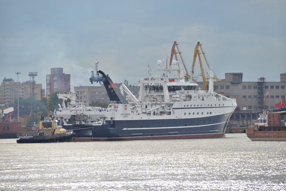 Супертраулер "Капитан Вдовиченко" / Фото: Пресс-служба "РРПК"