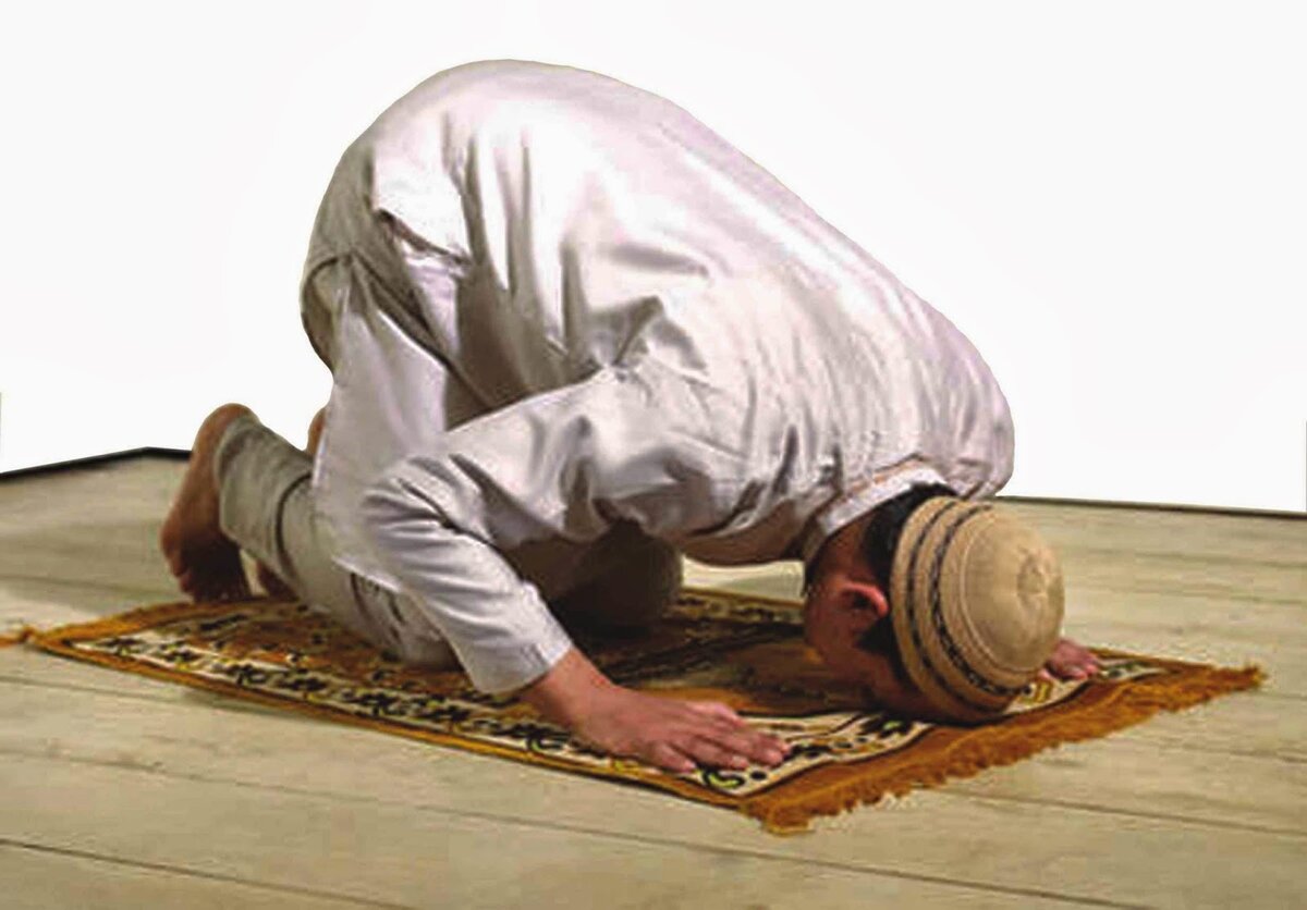 Намаз. Мусульманин в земном поклоне. Мусульманский поклон. Молиться на коврике. Ночная молитва мусульман
