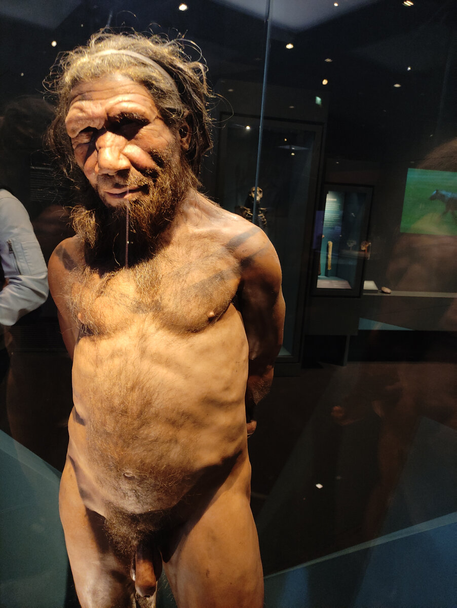 Неандерталец