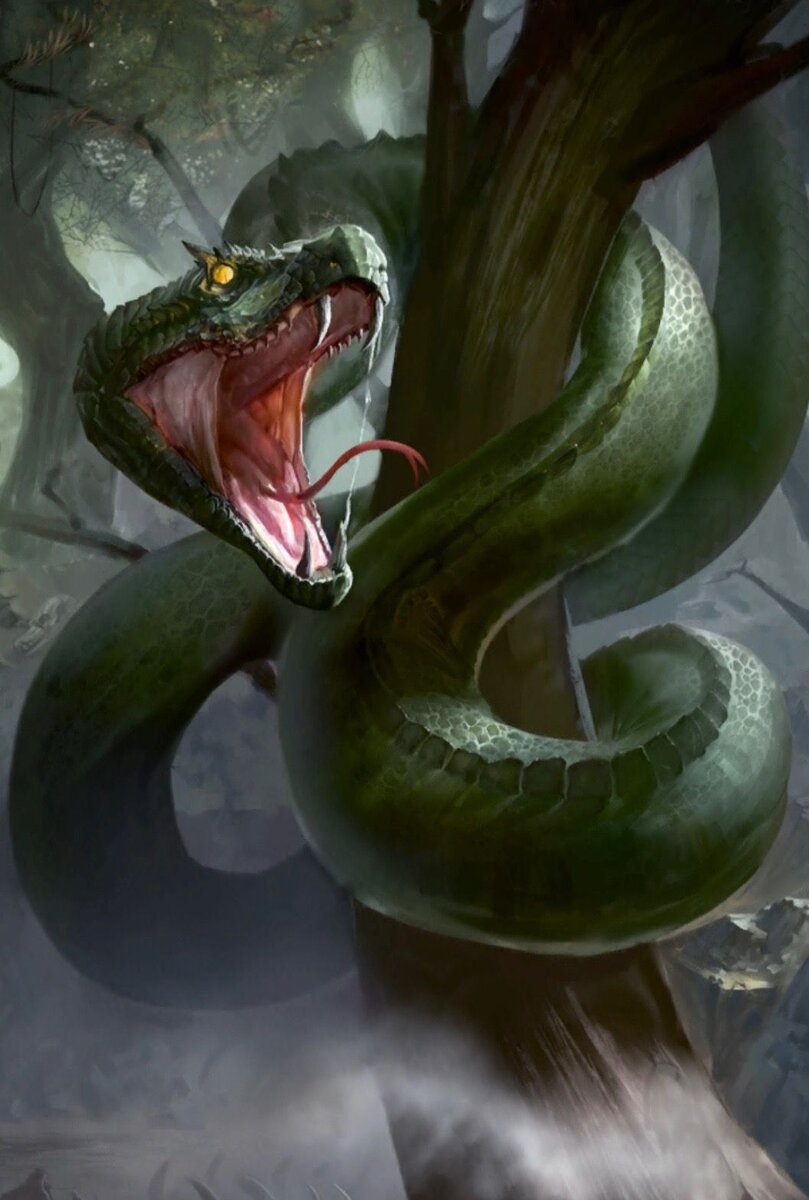 Изображение взято на сайте pinterest.com