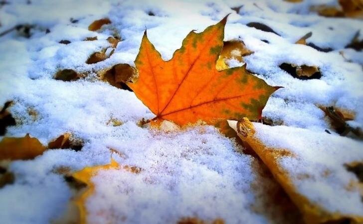    Фото: pixabay.com