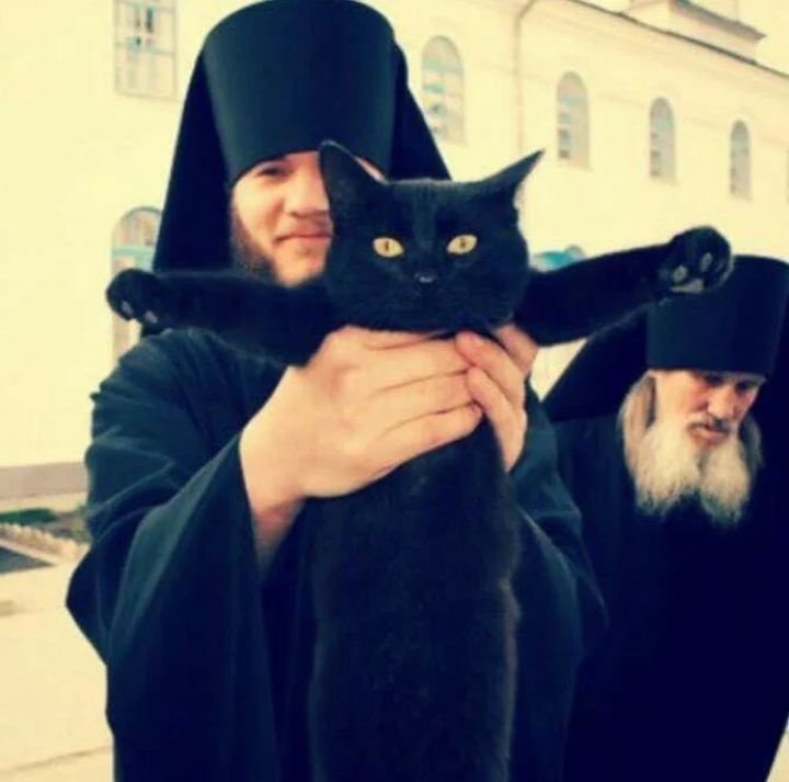 Что наша жизнь без кошек? Кошки это меховые цветы. Из них можно собирать букеты.