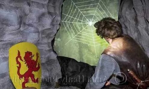 Король Роберт Брюс со своим фамильным гербом и паук.