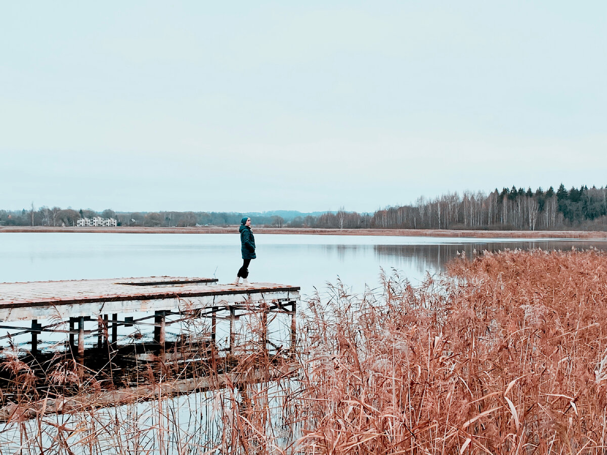 Волоколамский район Московской области. Все фото автора