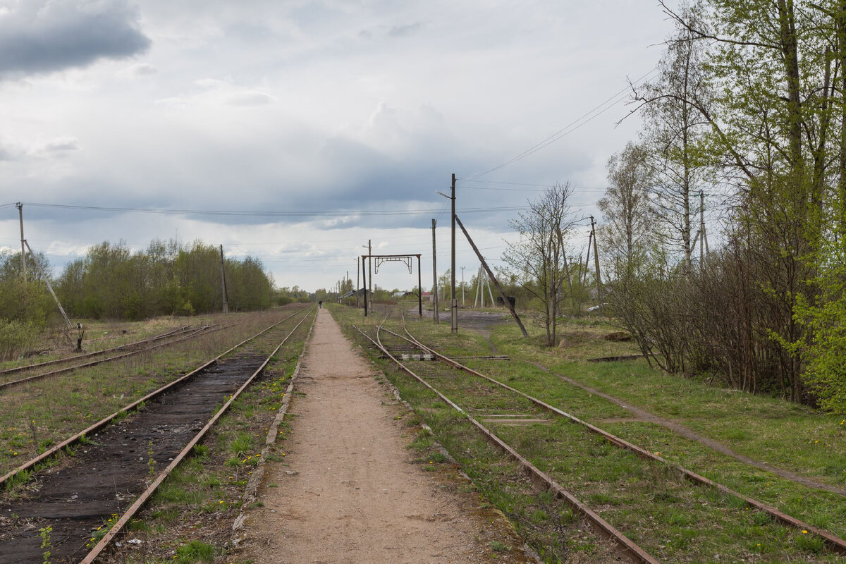 © Wh-Censor / CC BY 3.0 (Станция Крестцы)