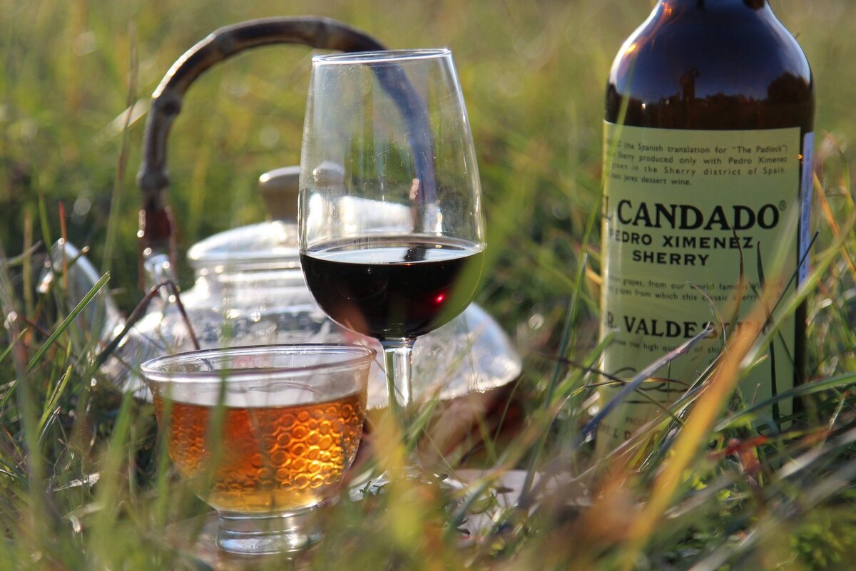 Фотография Ольги Никандровой