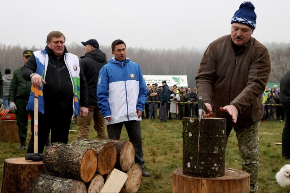    Лукашенко показал журналистам, как правильно колоть дрова