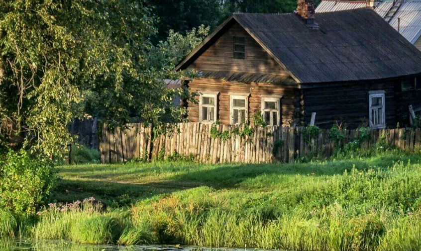 Яндекс картинки