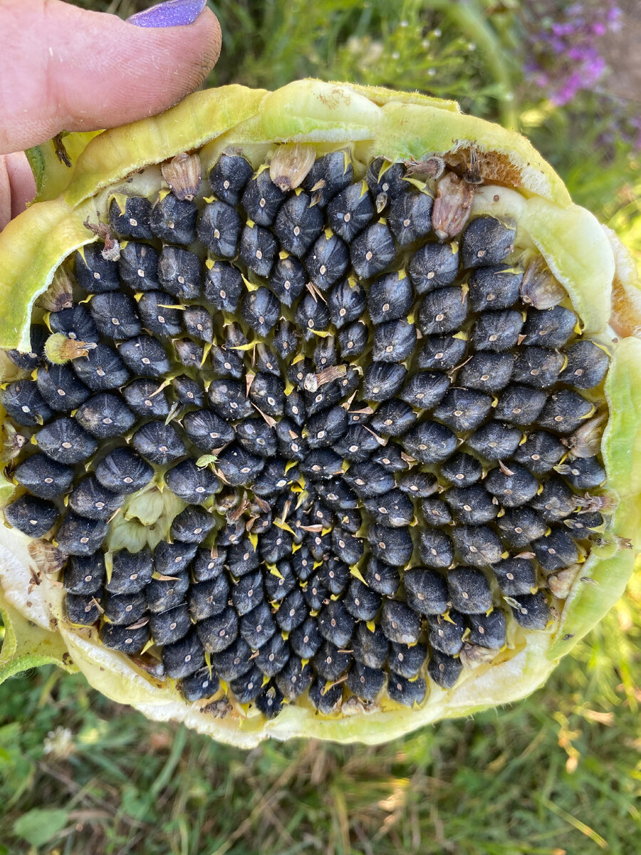 Личное фото 