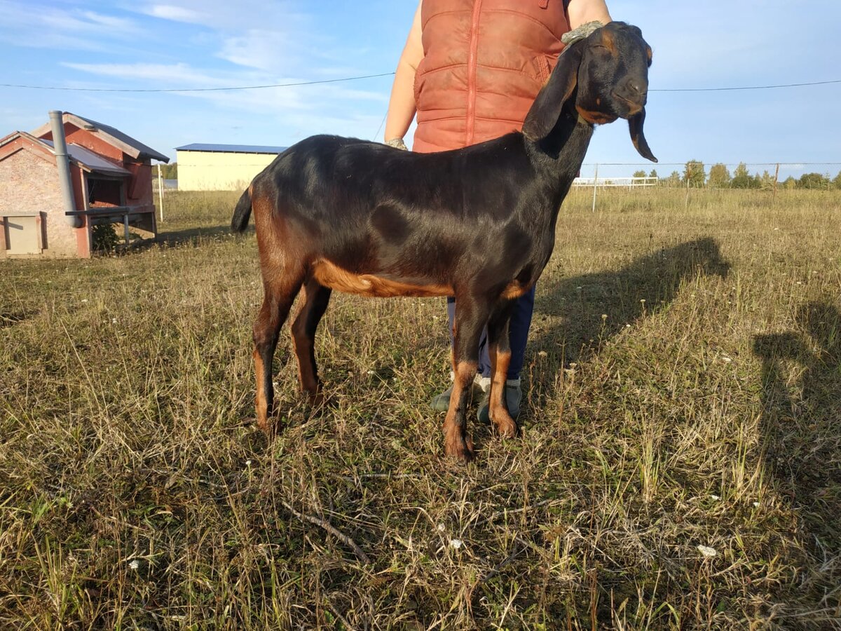 Бэлла Федоровна. Фото автора