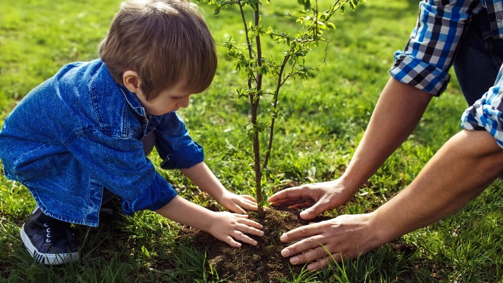   Фото: Shutterstock