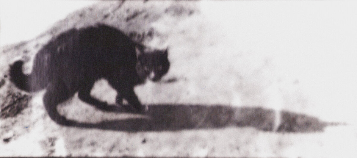 1989 год, ей годик