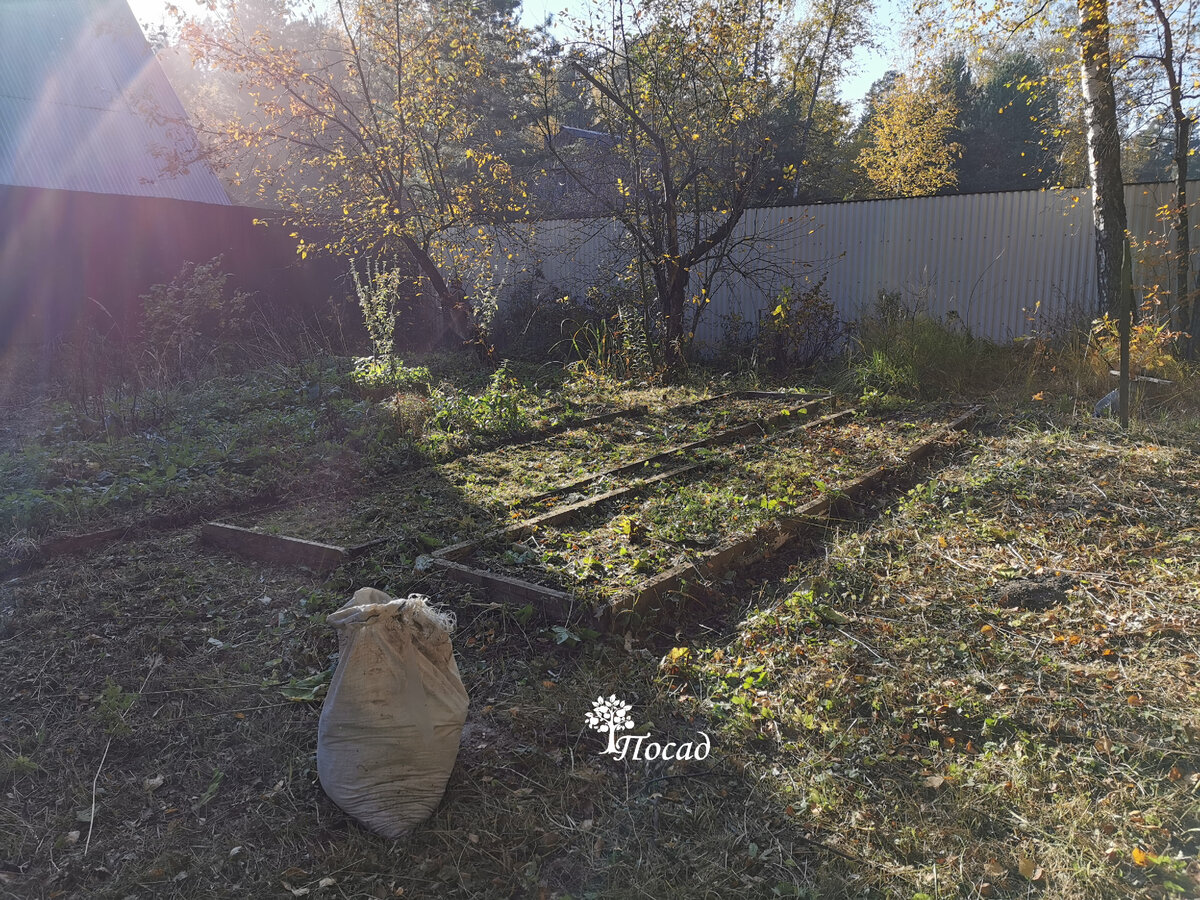 Осенью это было не заметно.