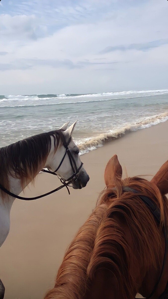 Источник фото: ru.pinterest.com