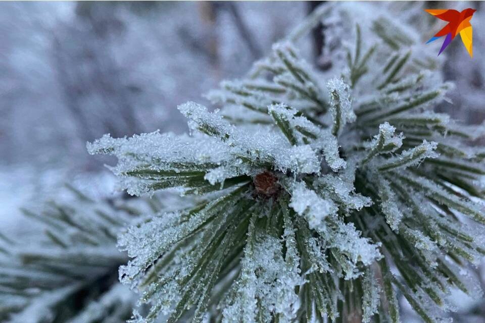     Обильных снегопадов в Мурманской области пока не ожидается. Мария ПАШЕНКОВА