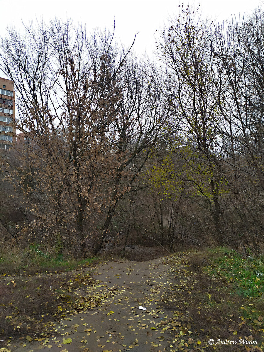 Спуск в балку