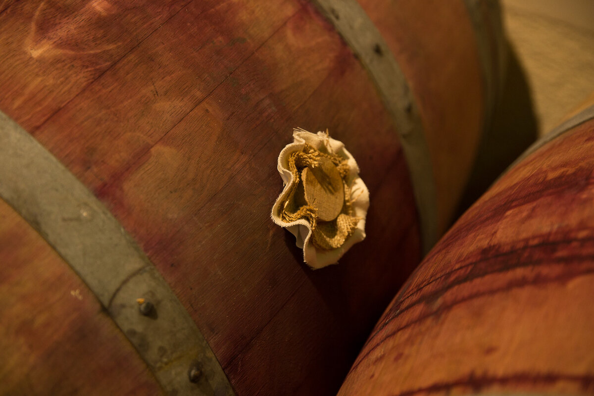 Фото: © Андрей Ковалев