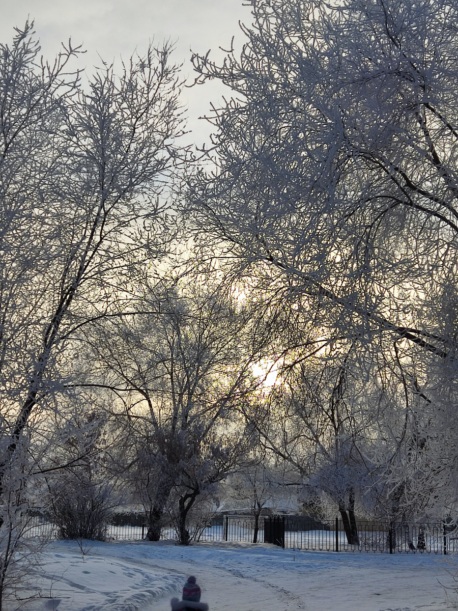 Немного зимний сказки