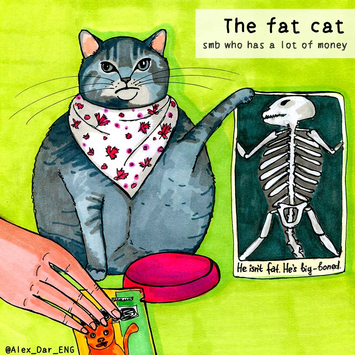 Фэт кэт. Идиомы fat Cat. Толстый кот пикабу Автор