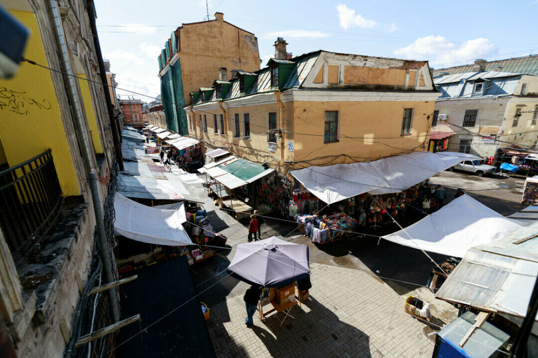    Фото: Konstantin Lenkov / Shutterstock.com