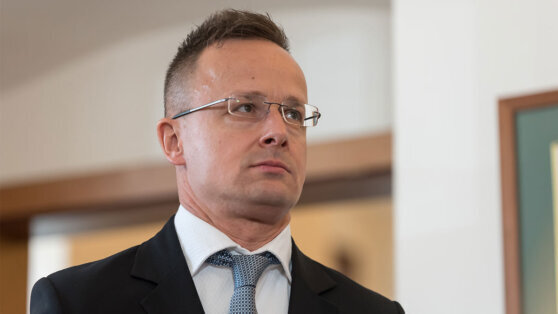    Будапешт заявил о дискриминации закарпатских венгров на Украине Анастасия Романова