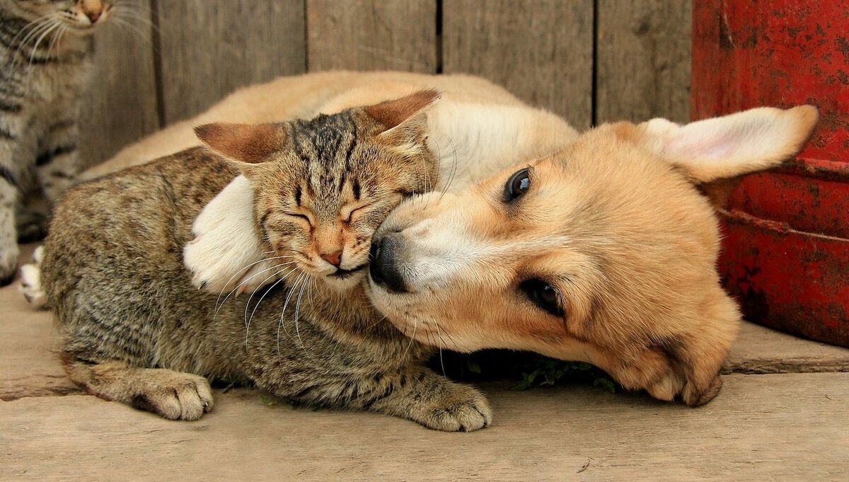 Из интернета